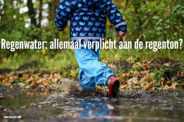 Regenwater: allemaal verplicht aan de regenton?