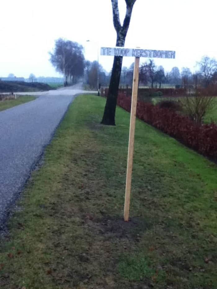 kerstbomen te koop