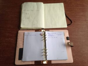 Terug naar Moleskine... + poll! 1 moleskine vs webster's pages