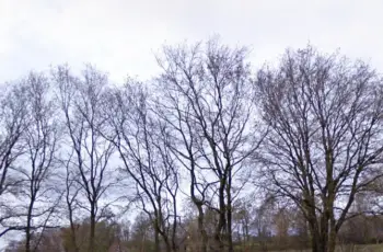 Amsterdam Zuid versus de Achterhoek