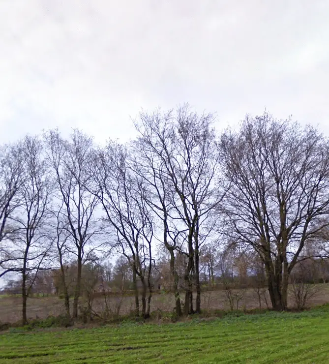 Amsterdam Zuid versus de Achterhoek