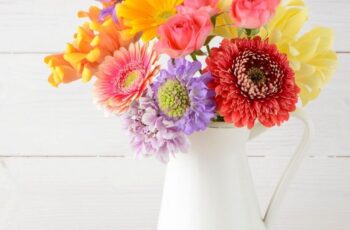 Snijbloemen mooi houden: 8 tips voor langer bloemplezier