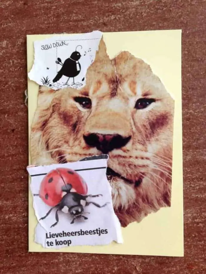 Collage van mijn wensen en doelen voor 2017