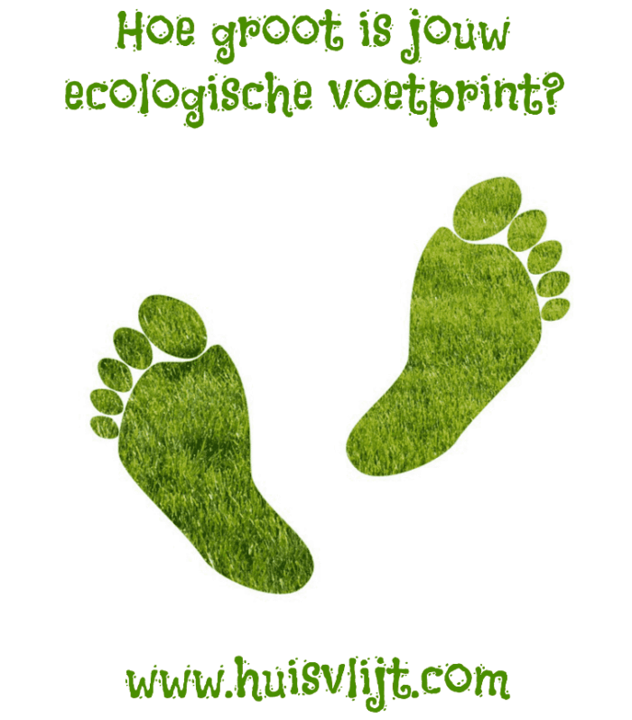 Hoe groot is jouw ecologische voetafdruk?