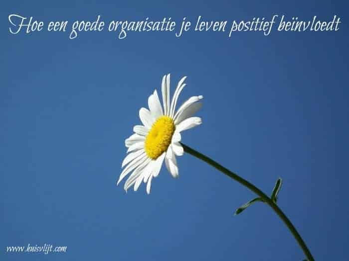 Hoe een goede organisatie je leven positief beïnvloedt