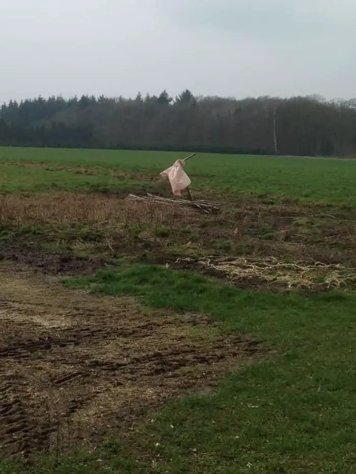 De ondraaglijke eenzaamheid van de vogelverschrikker