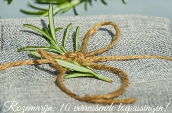 Rozemarijn: 10 verrassende toepassingen!