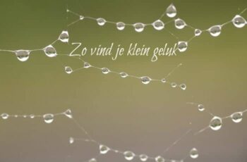 Zo vind je eenvoudig geluk