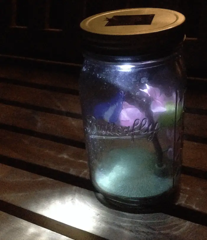 Mason jar die licht geeft + een bloem er in! 2 mason jar met licht