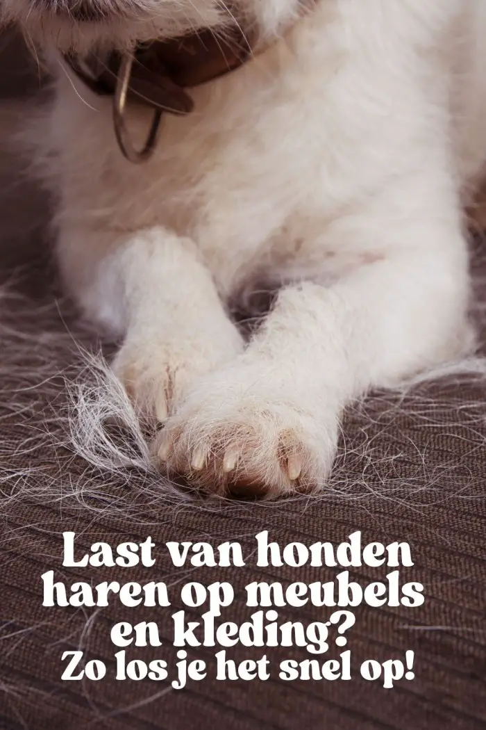 hondenharen verwijderen