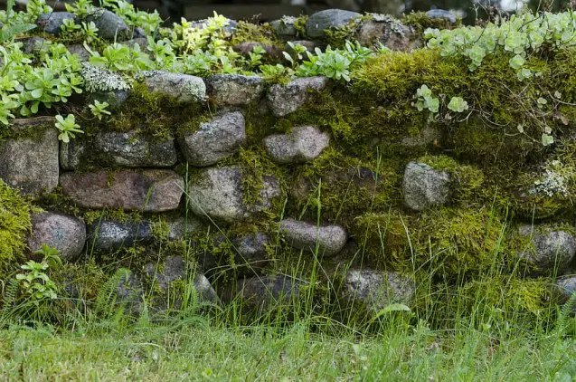 stone moss garden wall