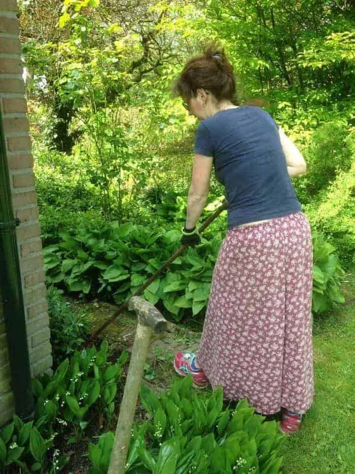 Wat doe jij deze zonnige zaterdagmiddag?