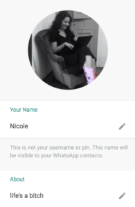 whatsapp status nederlands