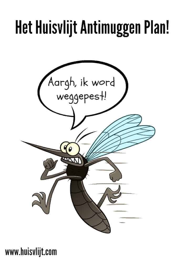 Muggen probleem: Het Huisvlijt Antimuggen plan!