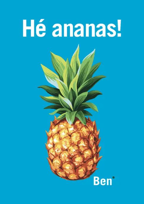 Kijk jij de hele dag naar een ananas?