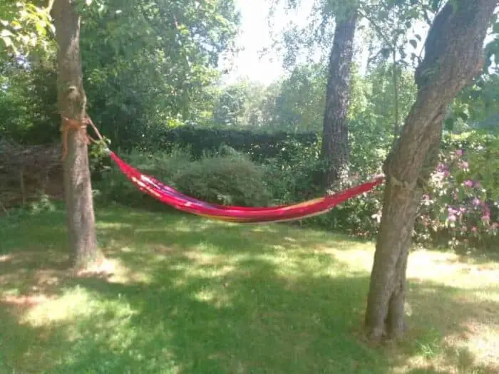 Vakantieplannen 2020: geen 1 vakantieplannen