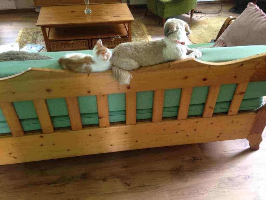 Tandem relaxen 11 Tandem relaxen