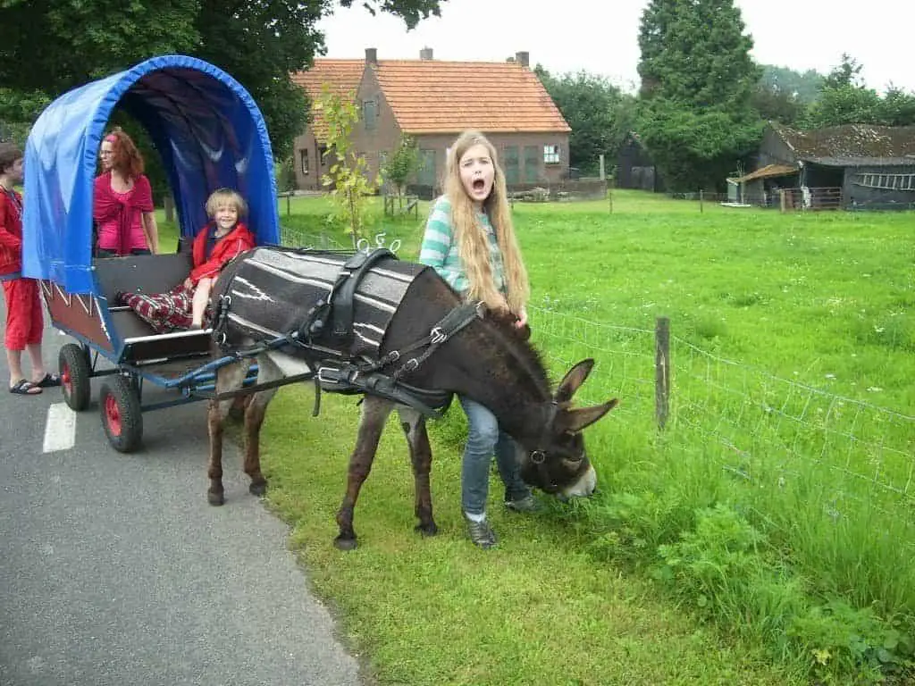 Memories oftewel: laat het nooit gezegd worden dat ik geen leuke dingen met jullie deed! 1 leuke dingen doen