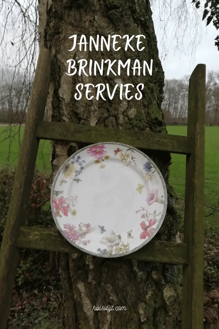 Janneke Brinkman servies