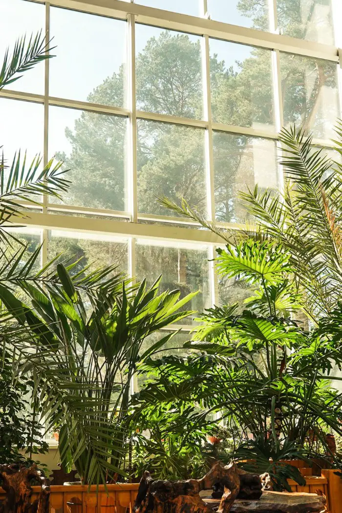 inkijk raam verminderen met planten