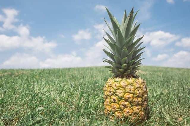 is deze ananas goed?