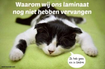 Waarom wij ons laminaat nog niet hebben vervangen