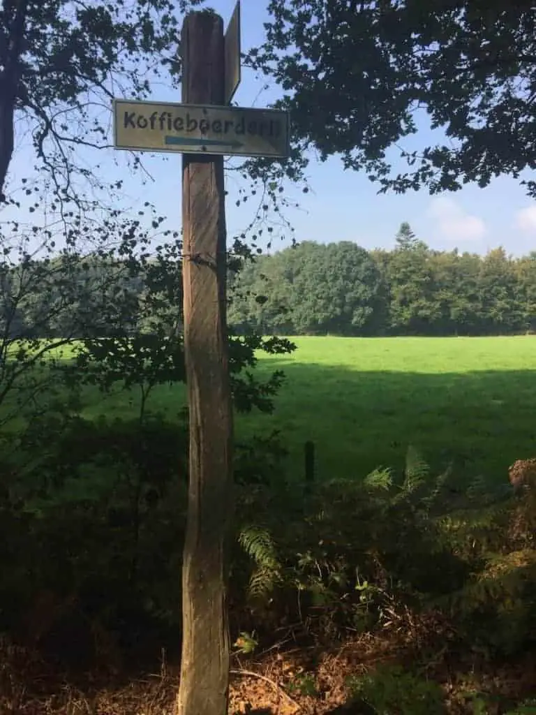 Zondagmiddagwandeling: van een pannekoekenpad naar een koffieboerderij