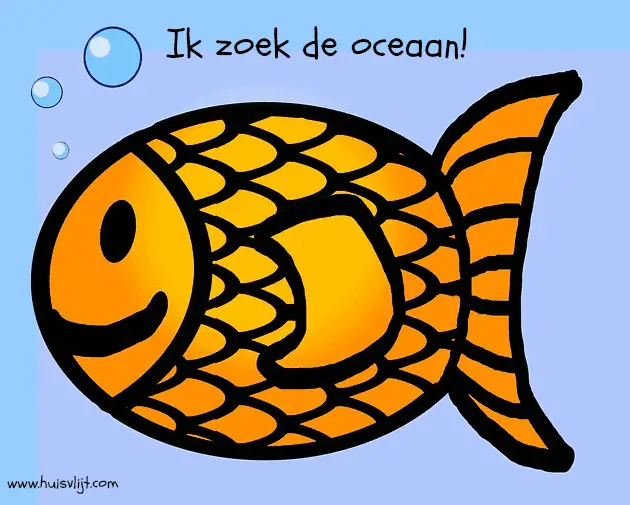 Over een vis die de oceaan zoekt