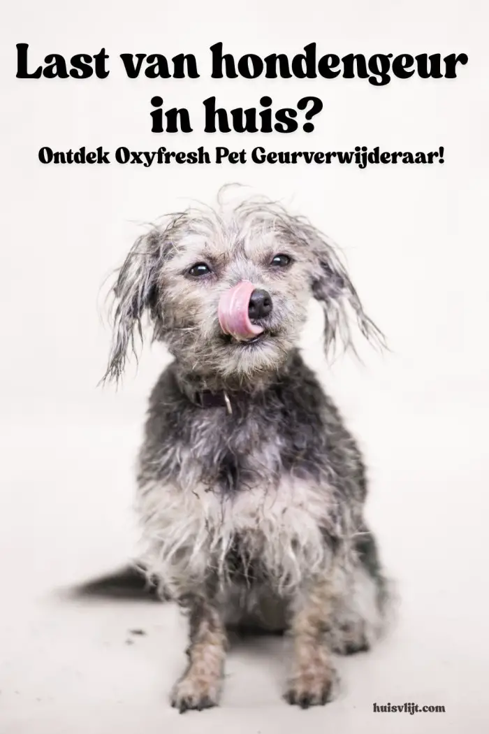 hondengeur verwijderen