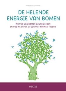 de helende kracht van bomen
