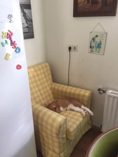 Jennylund Ikea fauteuil voor in de keuken 1 jennylund