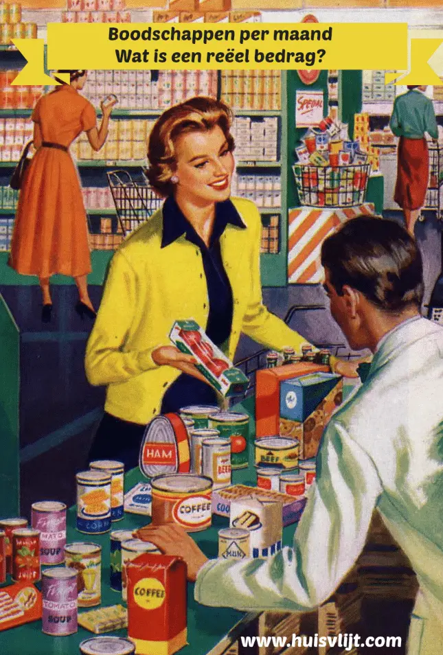 Kosten boodschappen per maand: wat is reëel? - update 2024 1 Kosten boodschappen per maand
