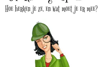 Overbodige spullen: maar welke zijn dat?
