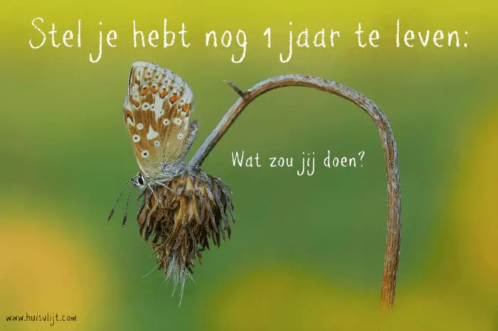 Stel je hebt nog 1 jaar te leven: wat zou jij doen?