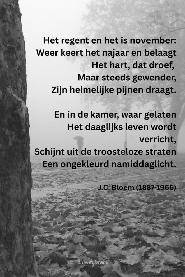 november gedicht nederlands
