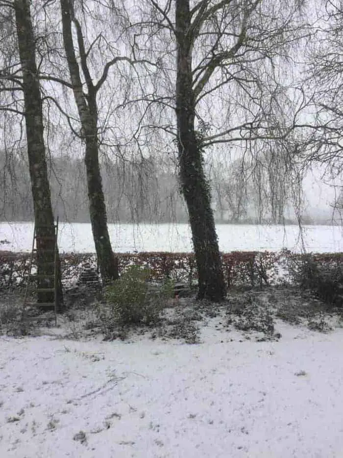 sneeuwvrij