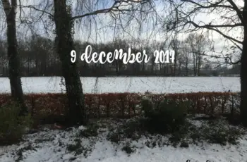 Witte wereld december 2017