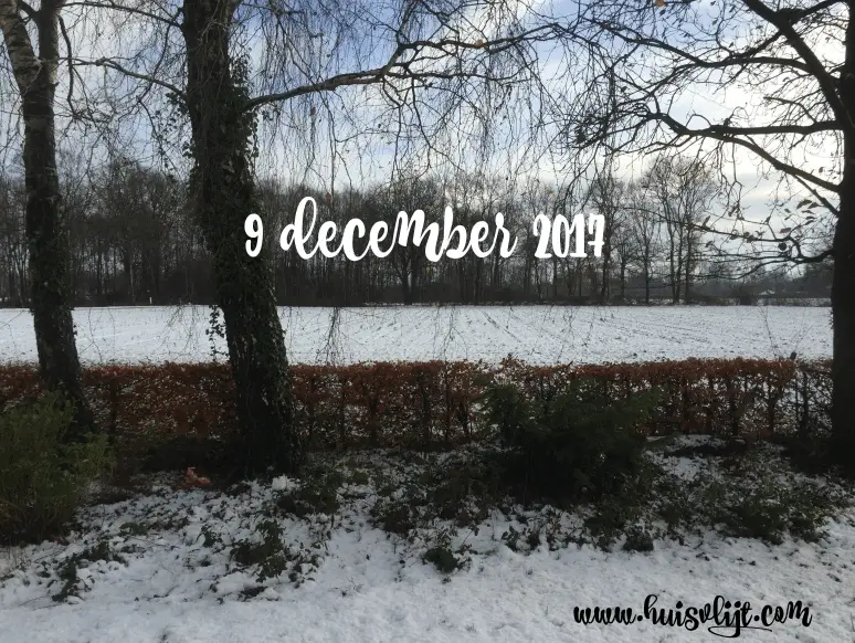 Witte wereld december 2017