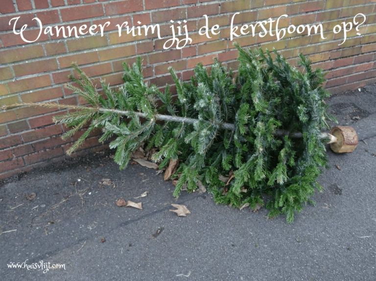 Wanneer kerstboom weg? Huisvlijt