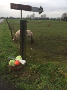 groente langs de weg