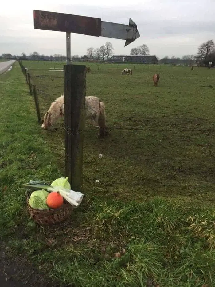 Groente langs de weg!