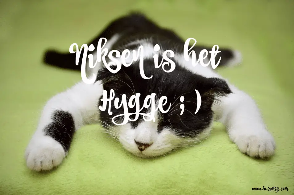 Niksen is het nieuwe Hygge ; )