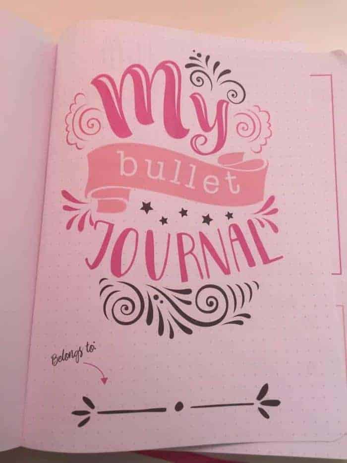 my bullet journal action