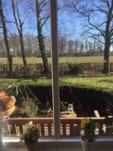 Het is ‘Window weather’!