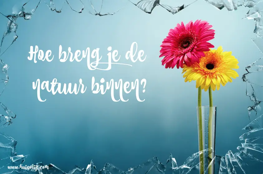 natuur in huis