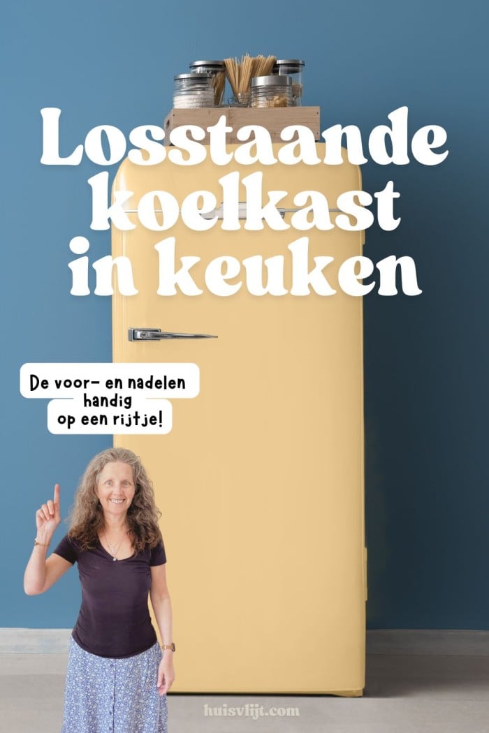 losstaande koelkast in keuken