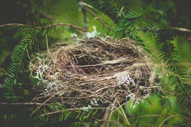 Empty Nest gevoel