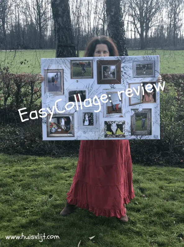 EasyCollage: review