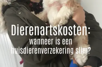 Huisdierenverzekering: ja of nee? En mijn beslissing.