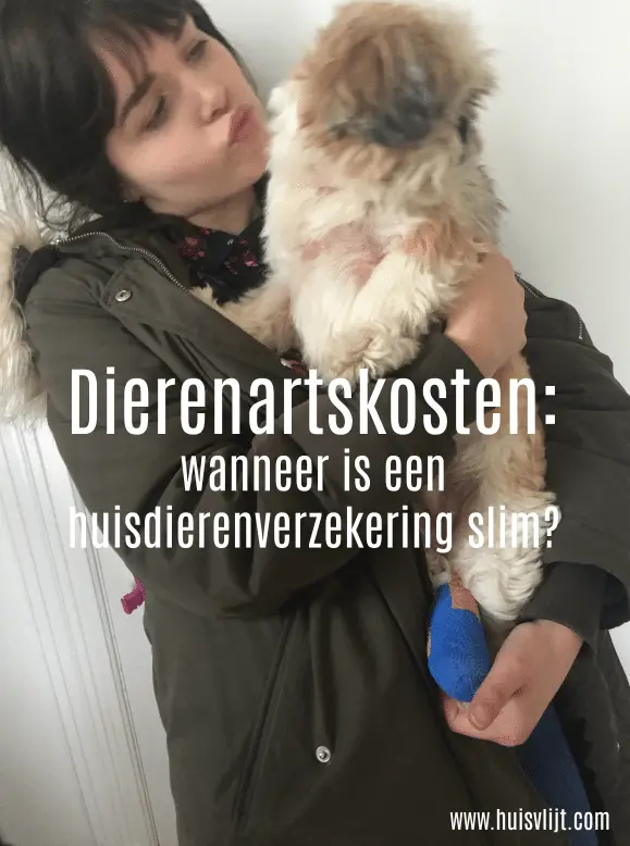 Huisdierenverzekering: ja of nee? En mijn beslissing. 1 huisdierenverzekering